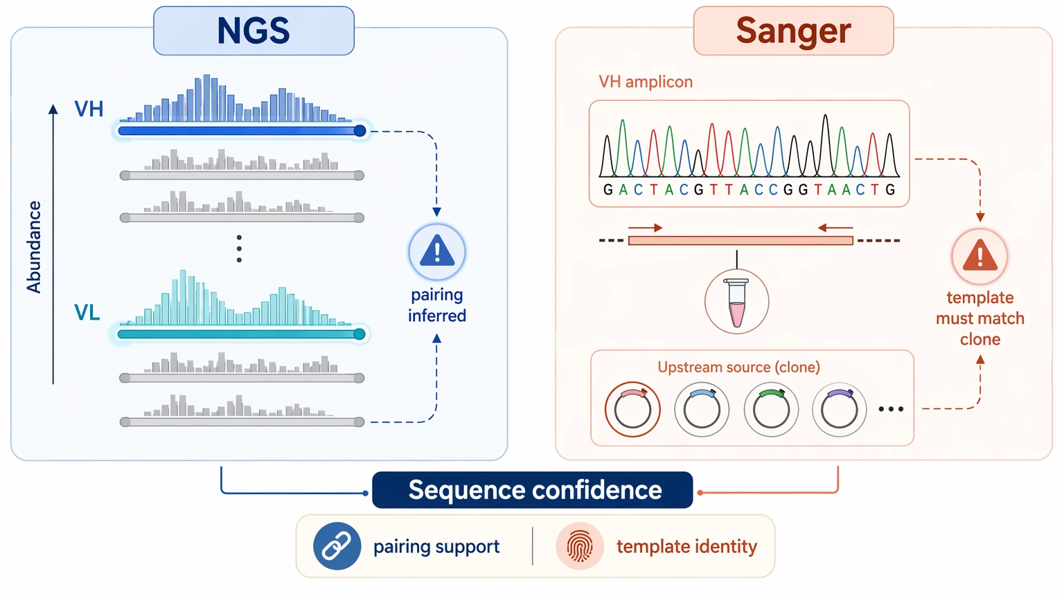 antibody sequencing ngs and Sanger-based clone recovery comparison for chain pairing and sequence confidence