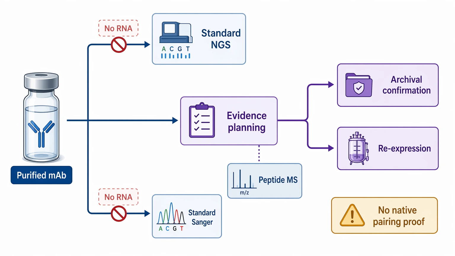 antibody sequencing ngs planning diagram for purified monoclonal antibody samples without accessible RNA