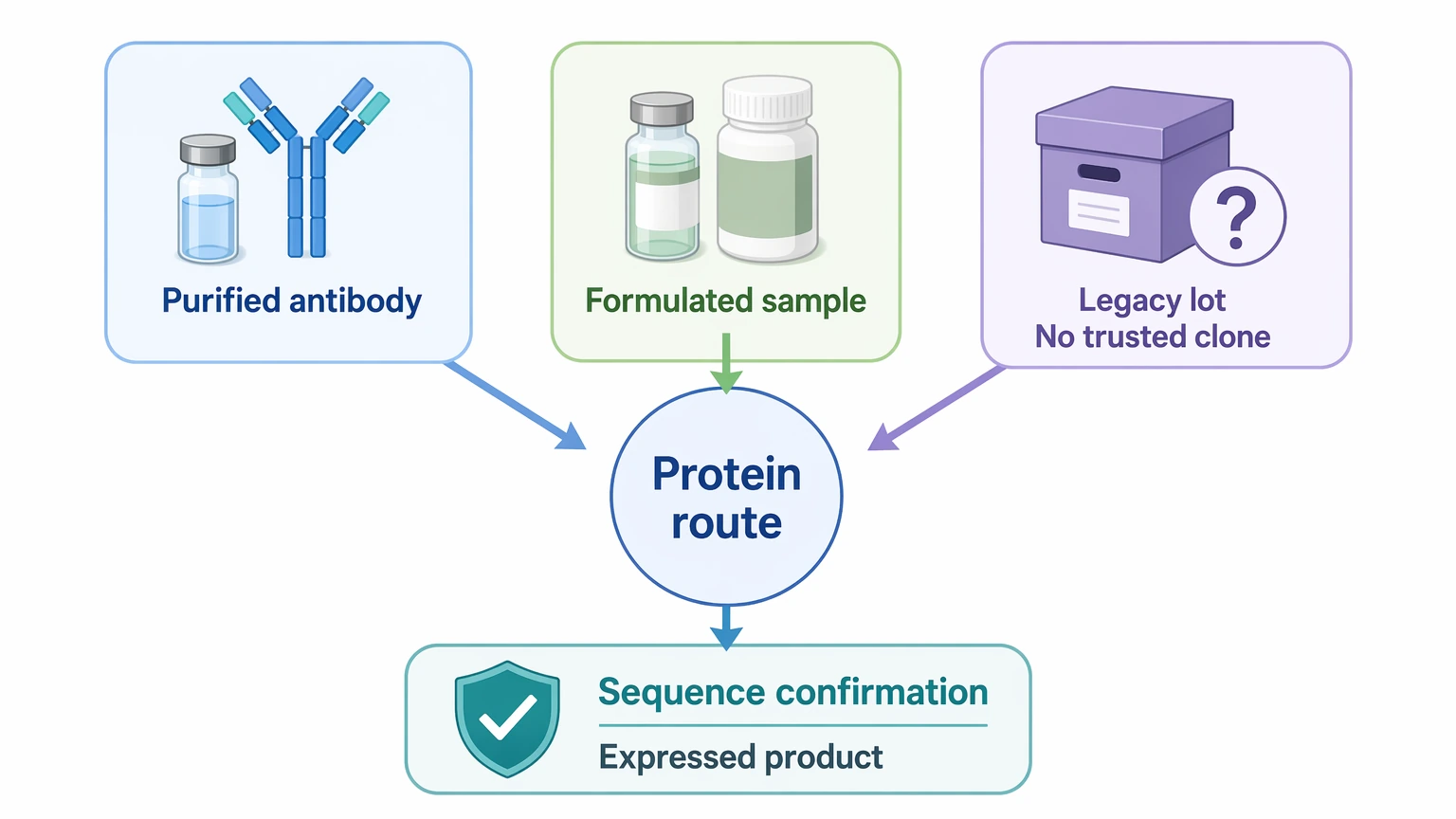 antibody protein sequencing selection guide for purified antibody, formulated sample, and legacy lot scenarios