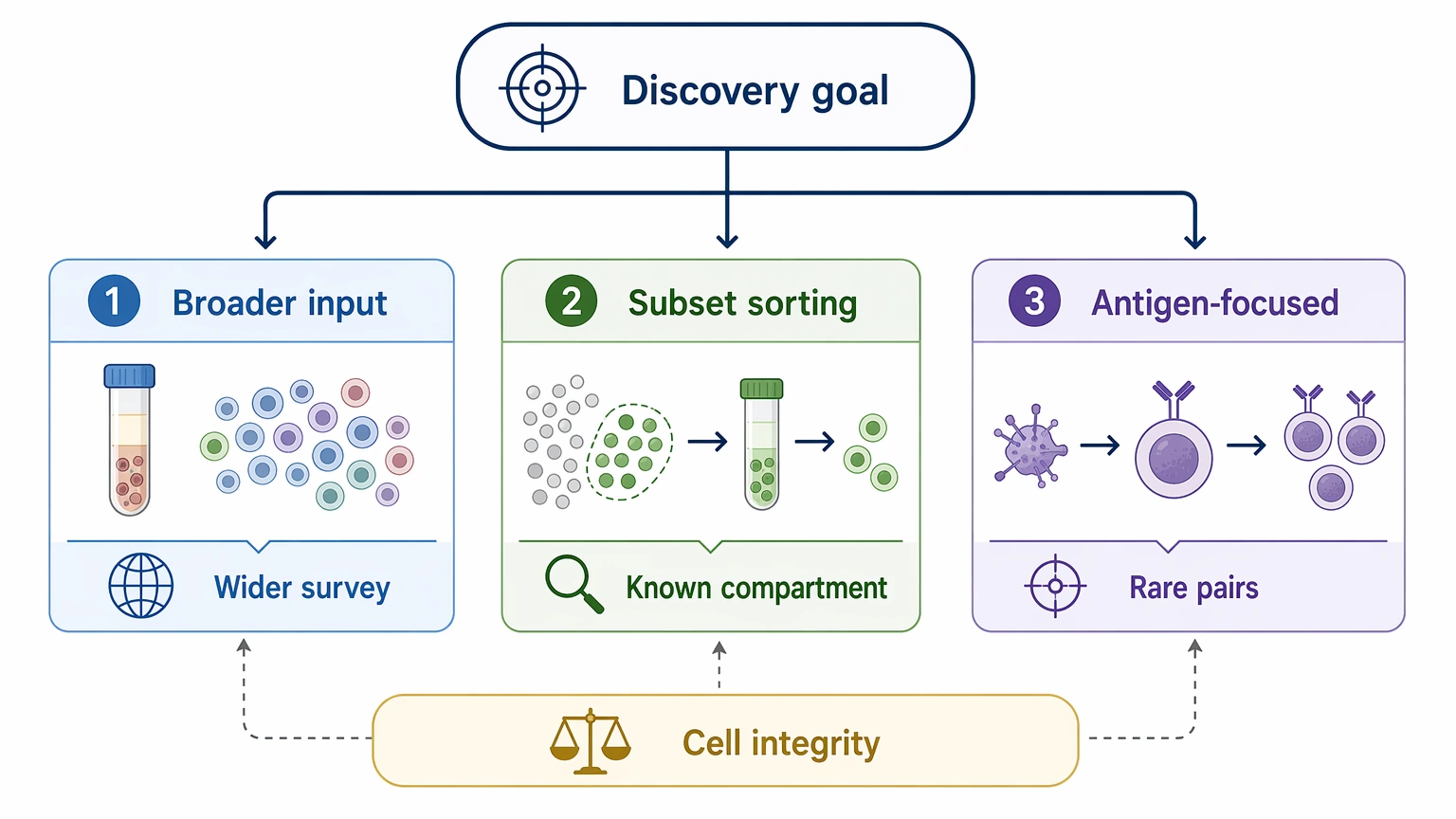 Single cell antibody sequencing selection guide showing broader input subset sorting and antigen-focused enrichment choices