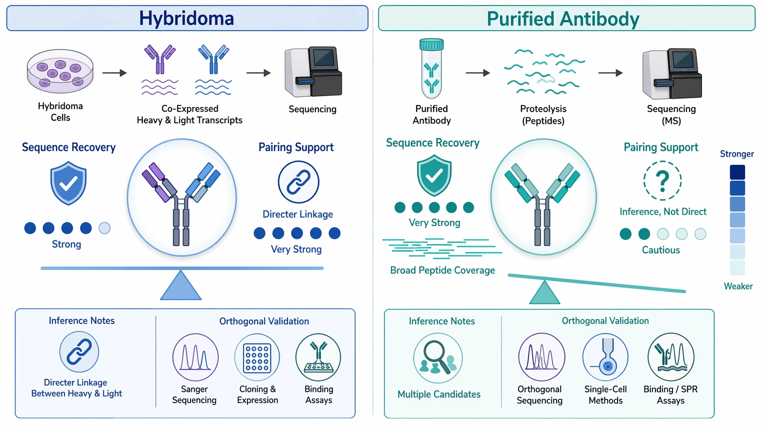 Antibody sequencing sample source comparison showing sequence recovery and pairing support differences