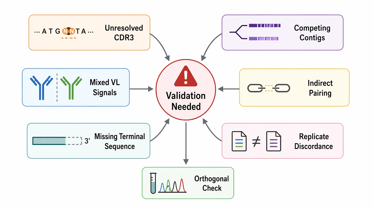 antibody sequencing ngs validation warning diagram with CDR3 ambiguity and pairing risks