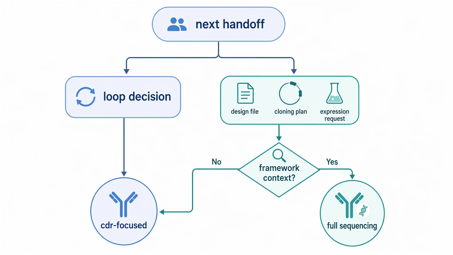 Antibody CDR sequencing decision path showing when project handoff requires full antibody sequencing