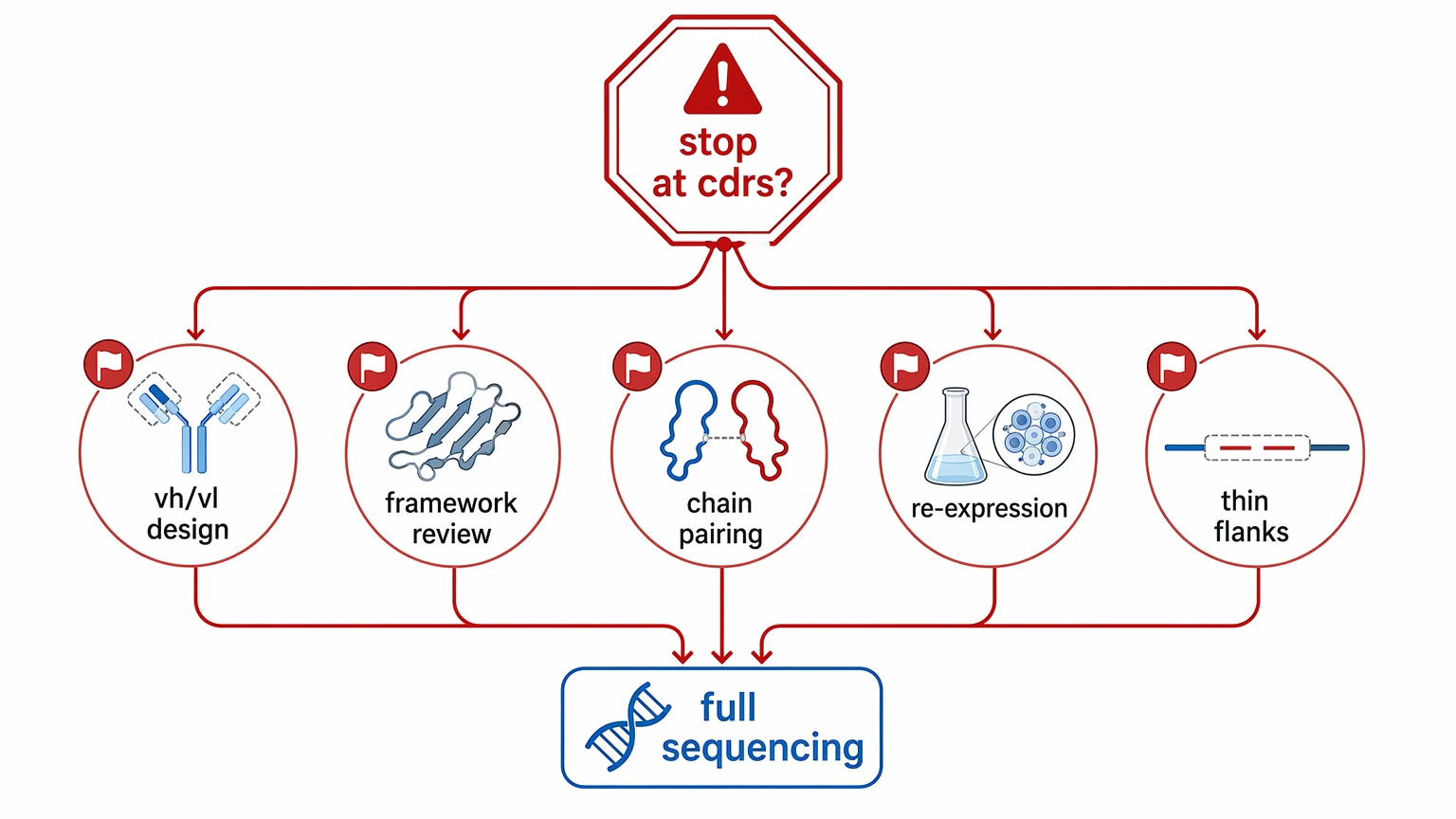 Red-flag diagram for antibody CDR sequencing projects that need full antibody sequencing