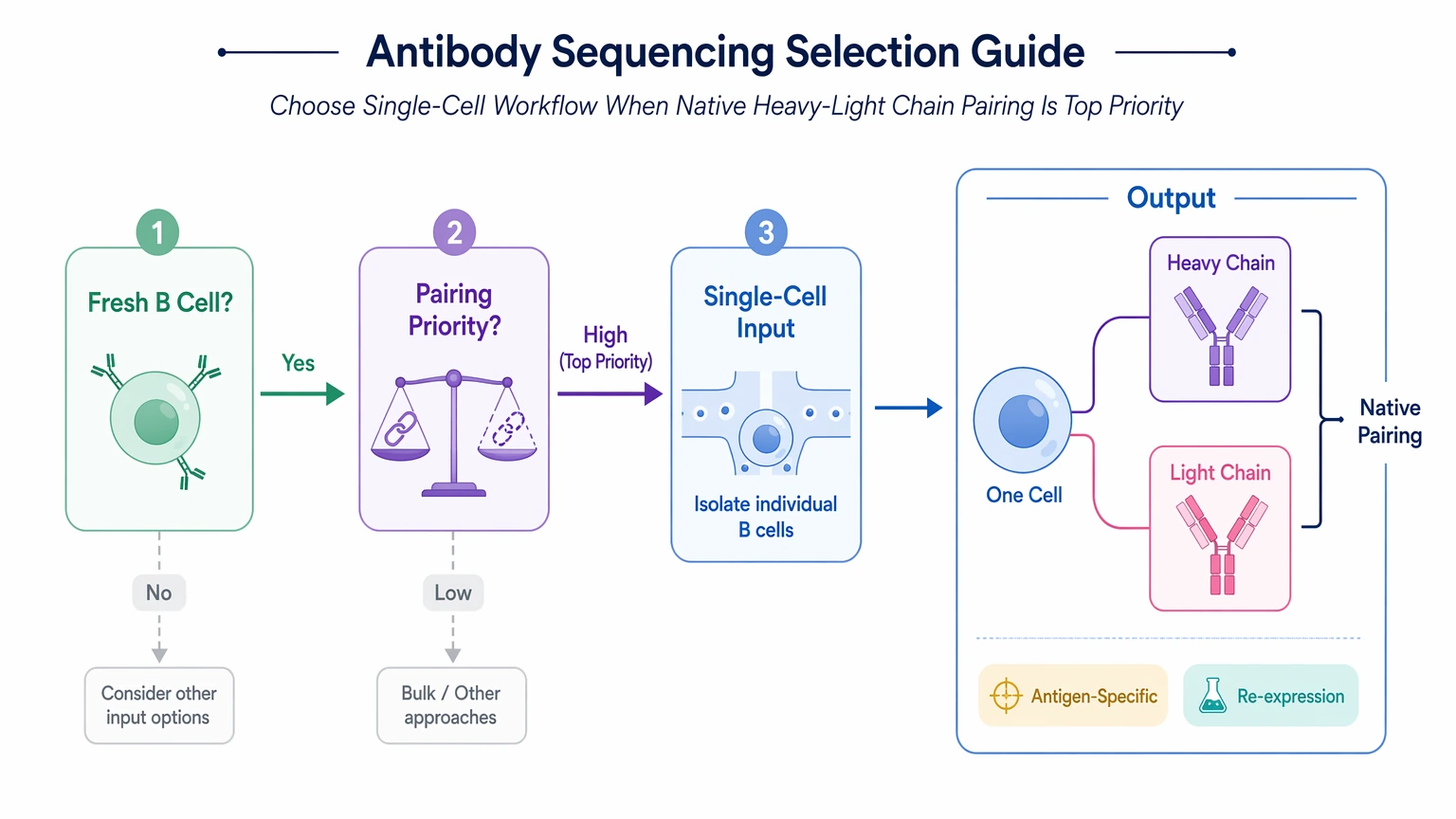 Antibody sequencing services selection guide for single-cell input and native VH VL pairing