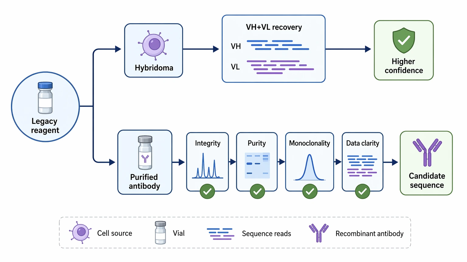 Antibody sequencing decision path for legacy reagent sample triage and sequence recovery route