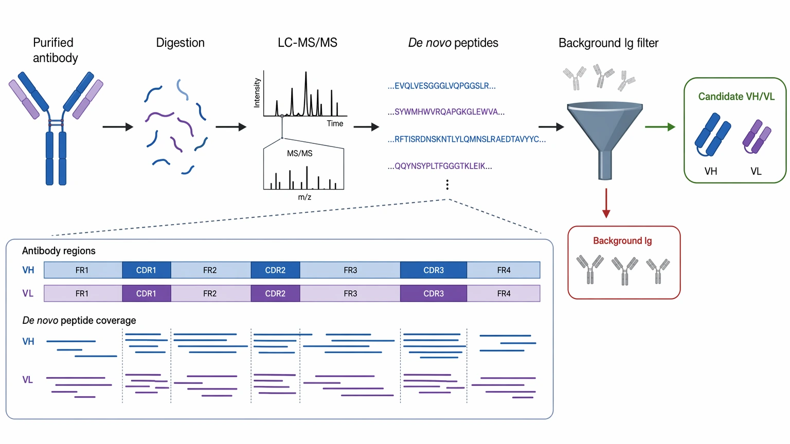 Antibody sequencing mass spectrometry workflow for purified antibody de novo sequence recovery