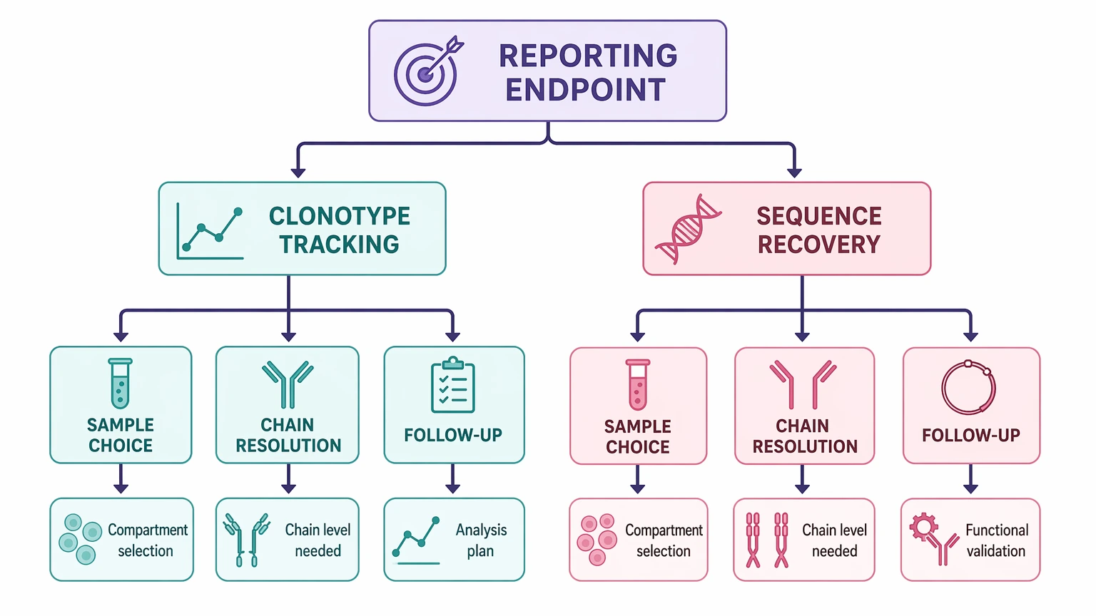 Deep sequencing and human antibody repertoire analysis decision path from reporting endpoint to later study design choices