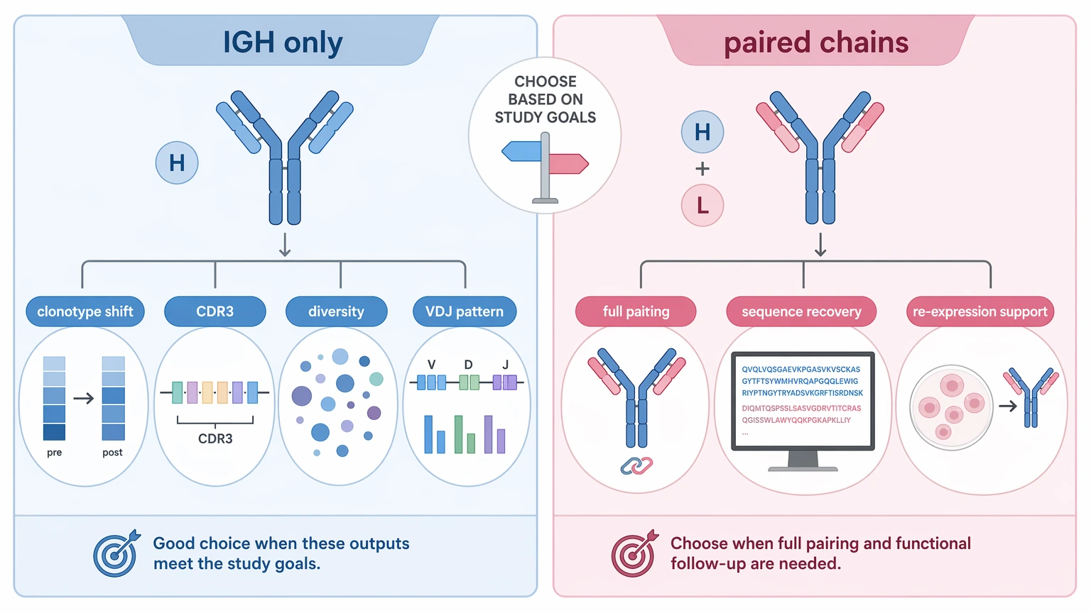 Deep sequencing and human antibody repertoire analysis comparison of IGH-only profiling and paired heavy-light chain design