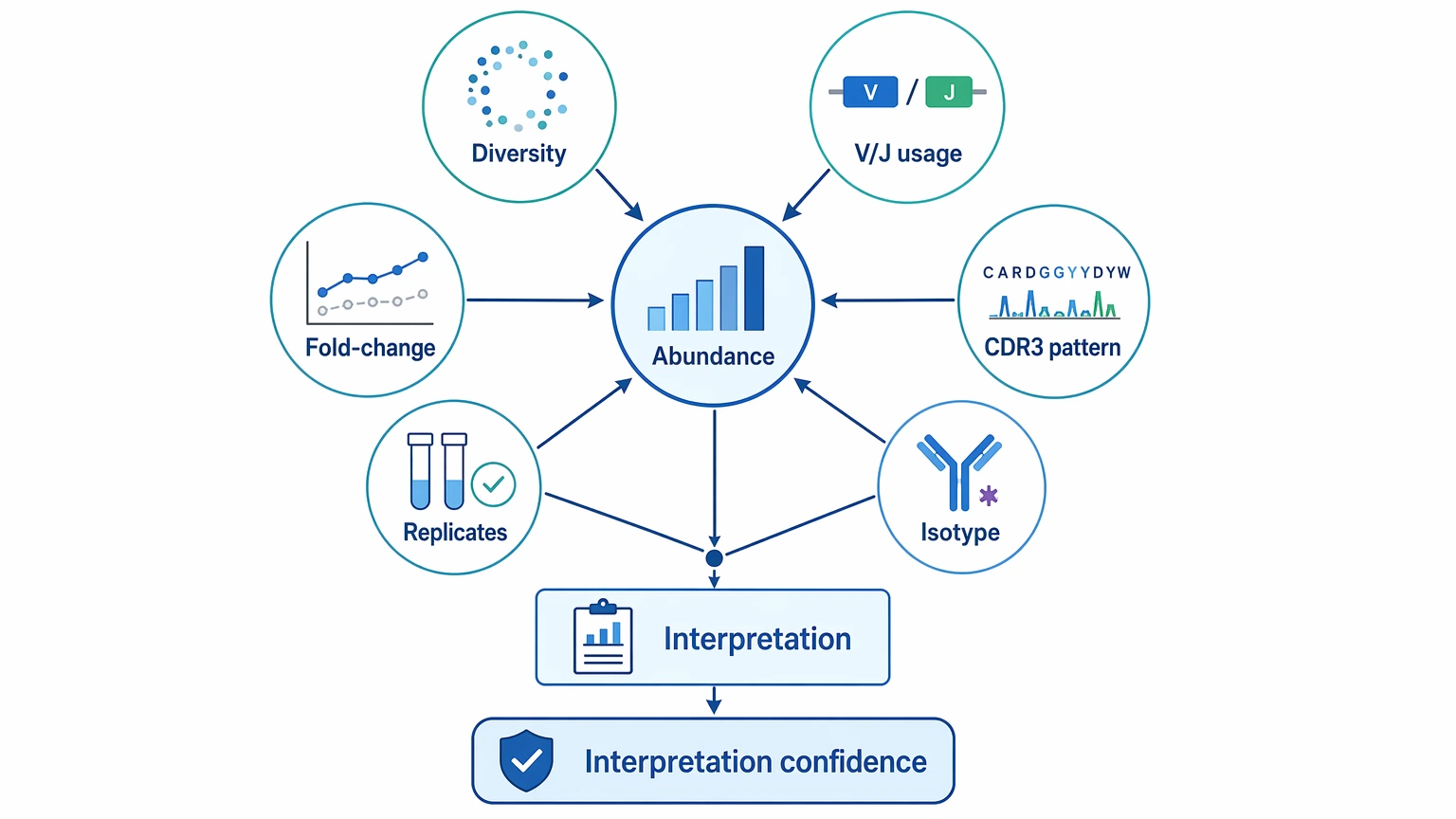 Deep sequencing and human antibody repertoire analysis framework integrating clonotype abundance with diversity metrics