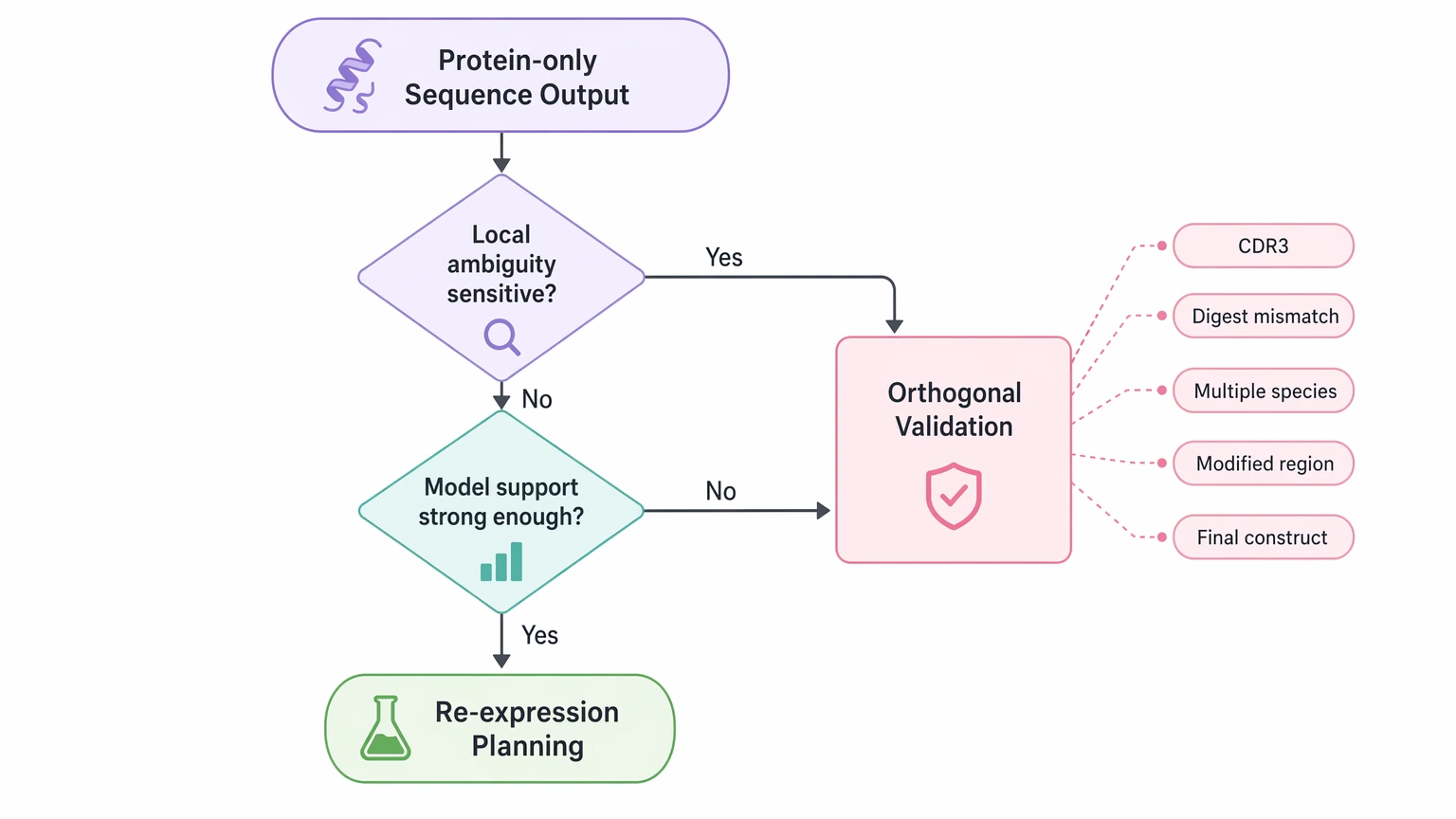 Antibody amino acid sequencing decision path for re-expression planning versus orthogonal validation