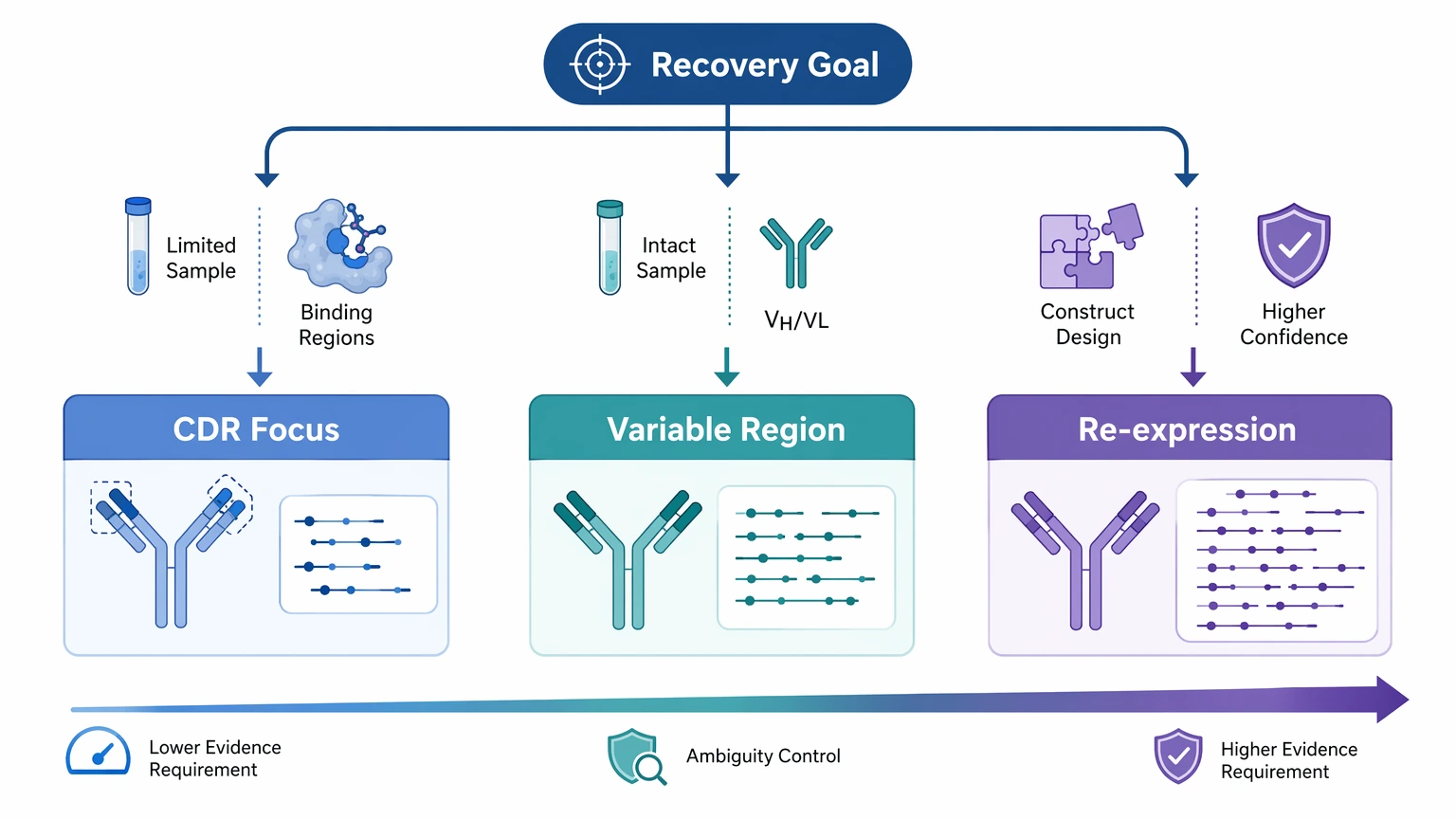 mass spectrometry antibody sequencing decision path for CDR, variable region, and re-expression strategies