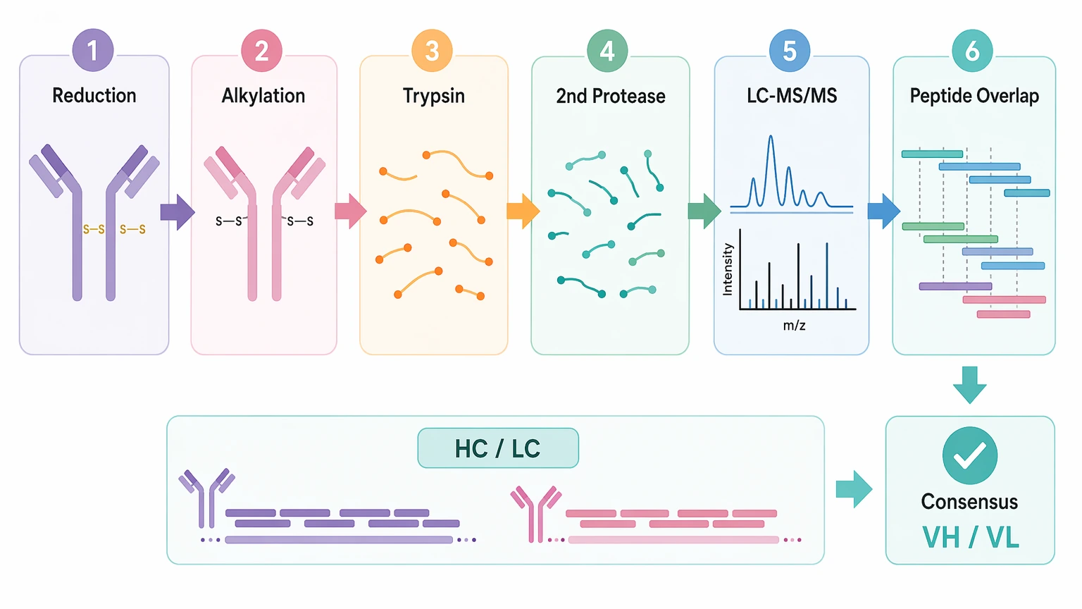 mass spectrometry antibody sequencing peptide generation and sequence assembly workflow
