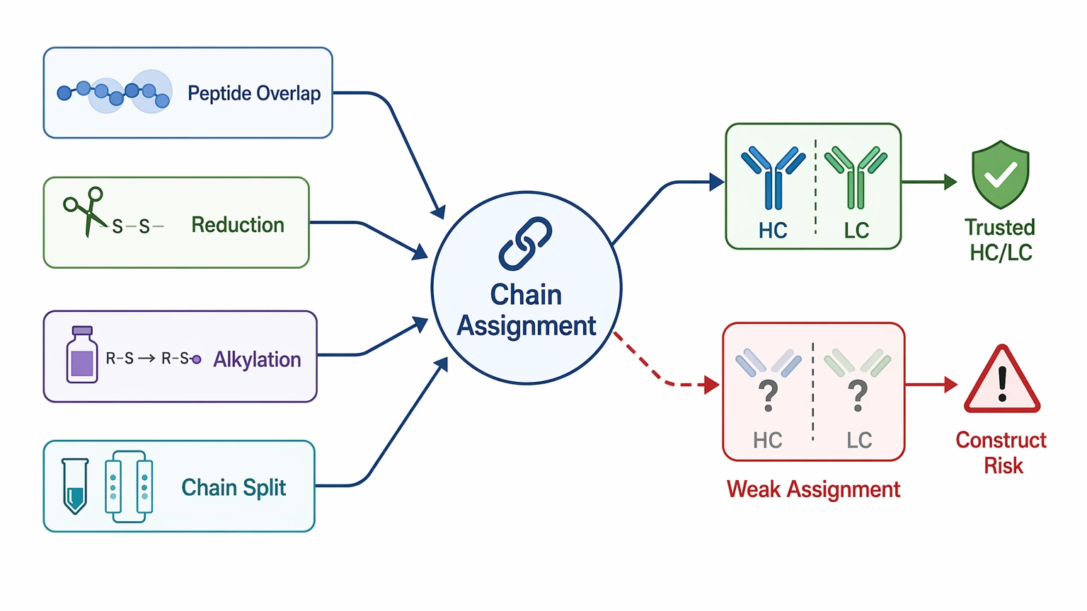 mass spectrometry antibody sequencing chain assignment problem localization diagram