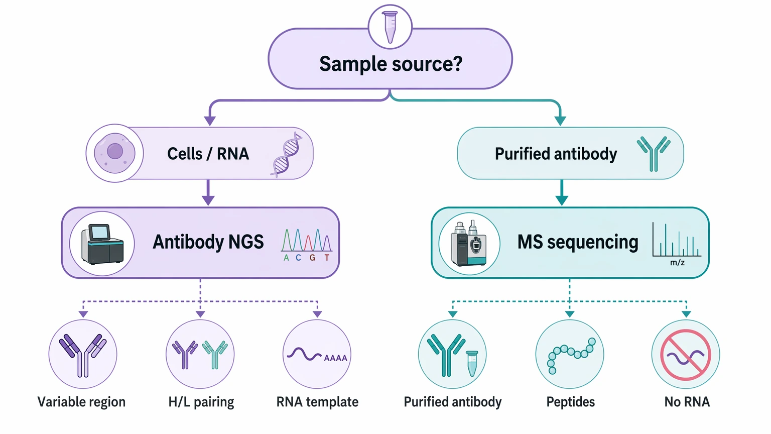 Antibody next-generation sequencing decision path comparing cell-derived samples and purified antibody inputs