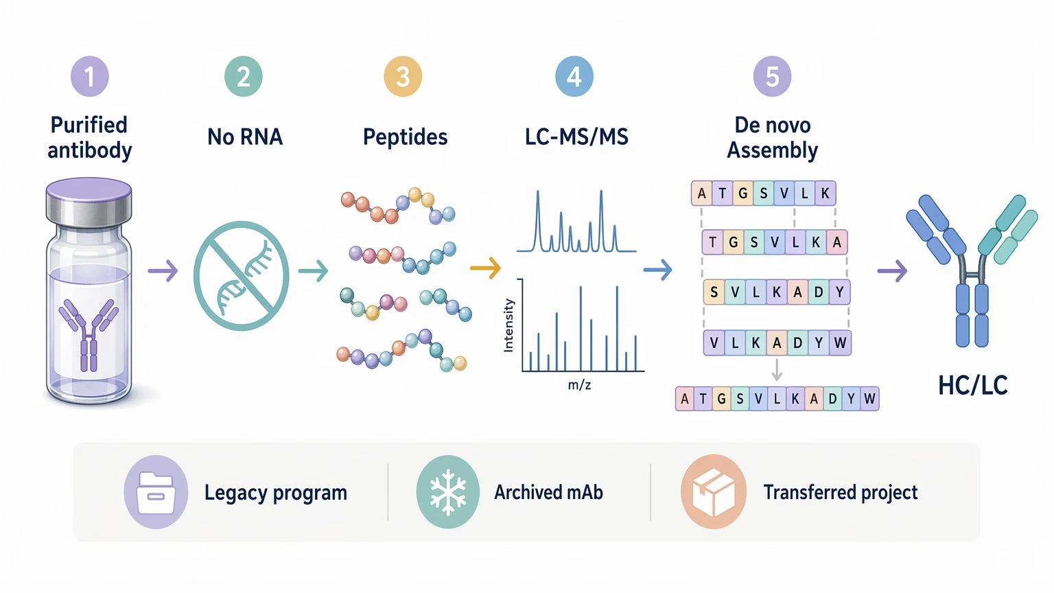 antibody next-generation sequencing illustration: Mass spectrometry antibody sequencing workflow for purified antibody sequence recovery