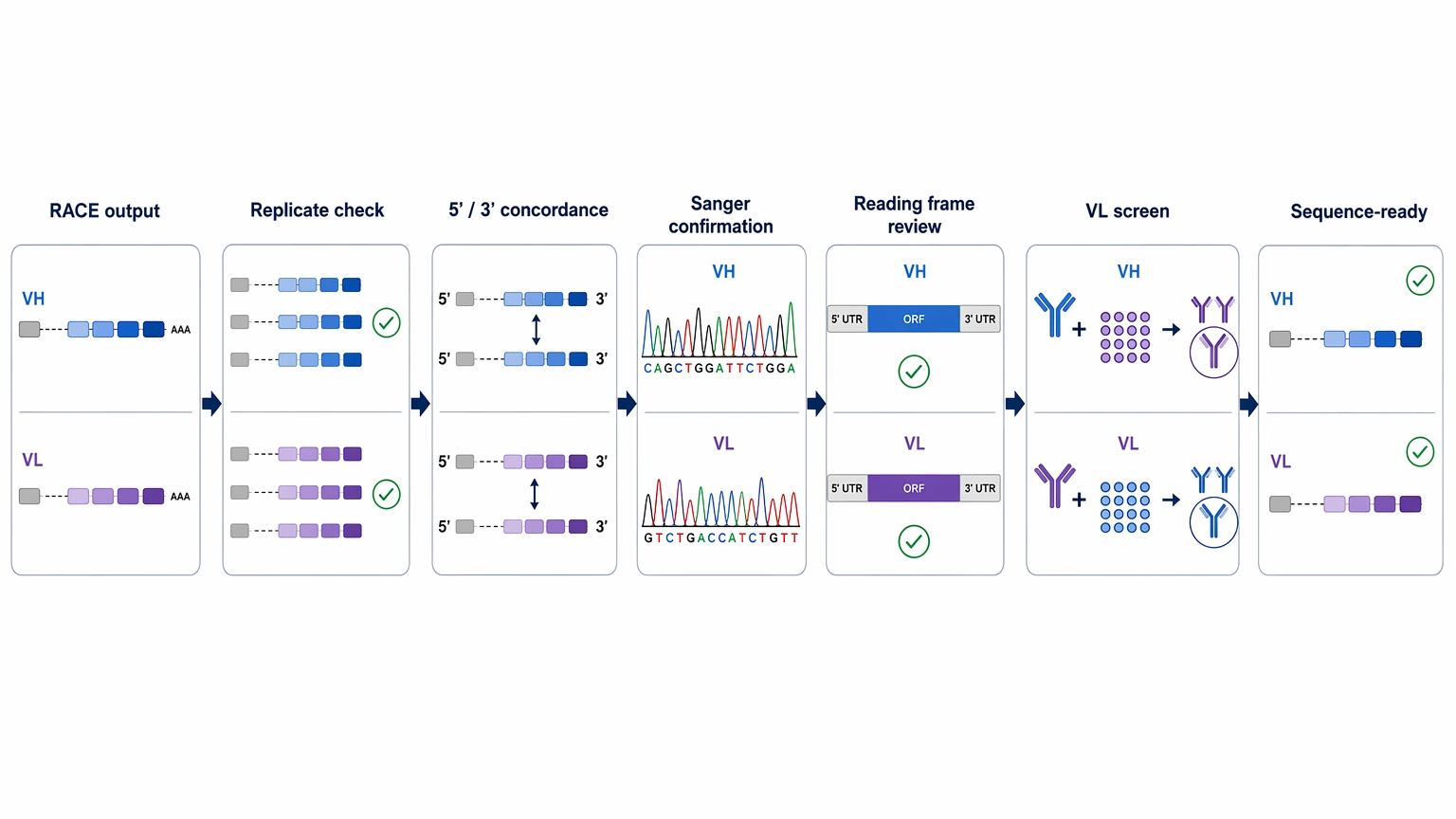 race antibody sequencing sequence validation workflow before re-expression