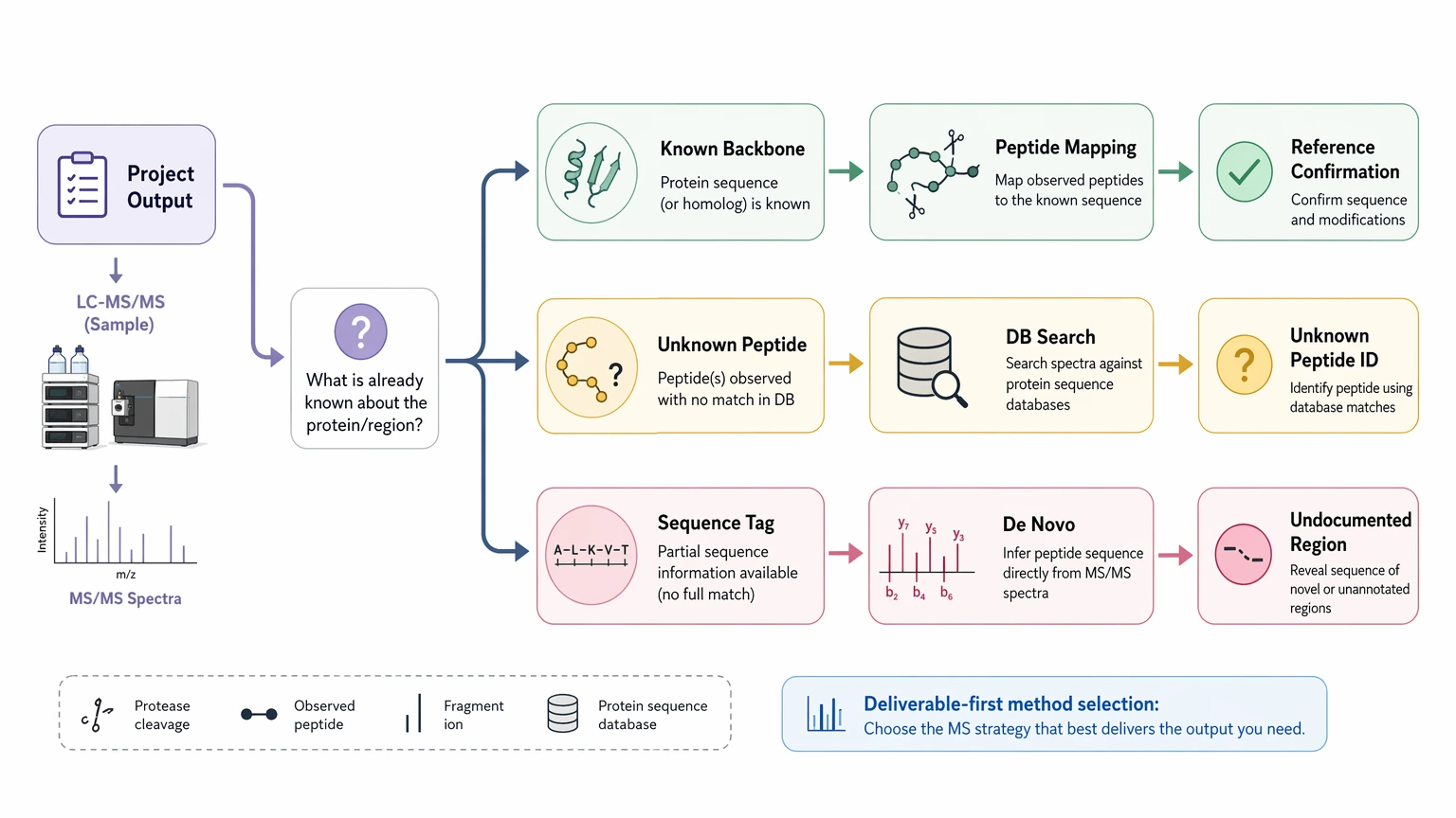 De novo protein sequencing mass spectrometry decision path showing deliverable-first method selection between peptide mapping and de novo analysis