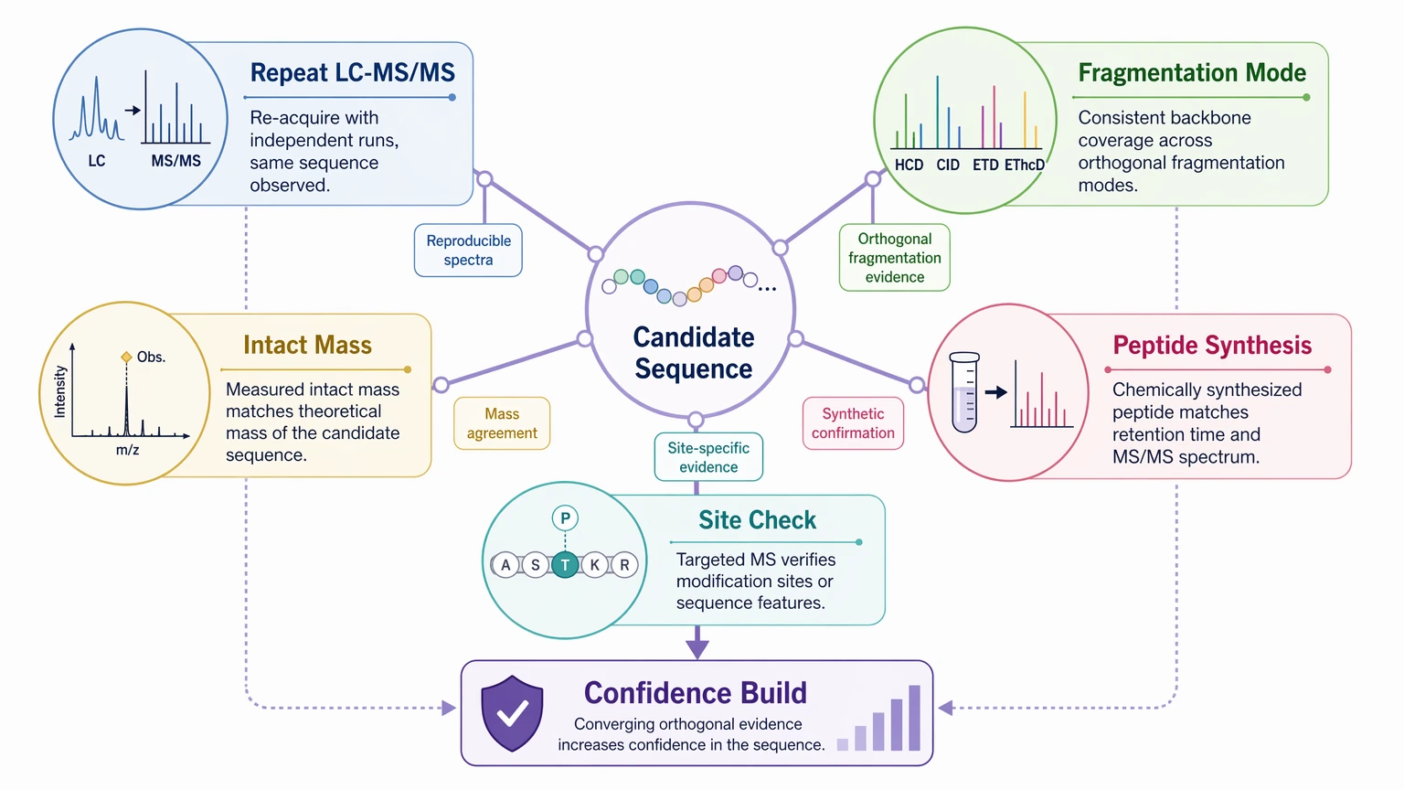 De novo protein sequencing mass spectrometry validation workflow showing orthogonal confirmation routes for sequence candidates
