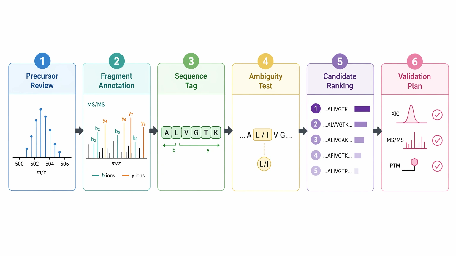 De novo sequencing using mass spectrometry data workflow from precursor review to orthogonal validation planning