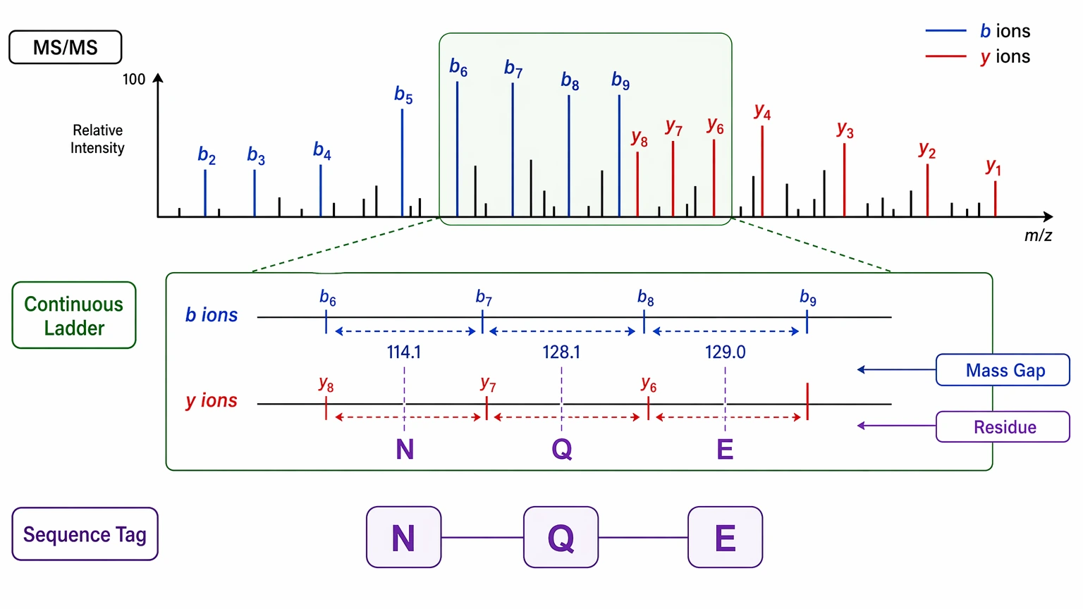 De novo sequencing using mass spectrometry data illustration of sequence tag construction from an MS/MS ion ladder