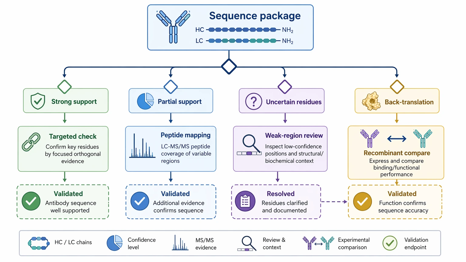 Antibody sequencing service validation decision path for uncertain residues peptide mapping and recombinant follow-up