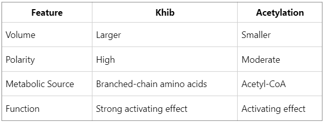 what-does-histone-khib-mean-in-epigenetic-regulation