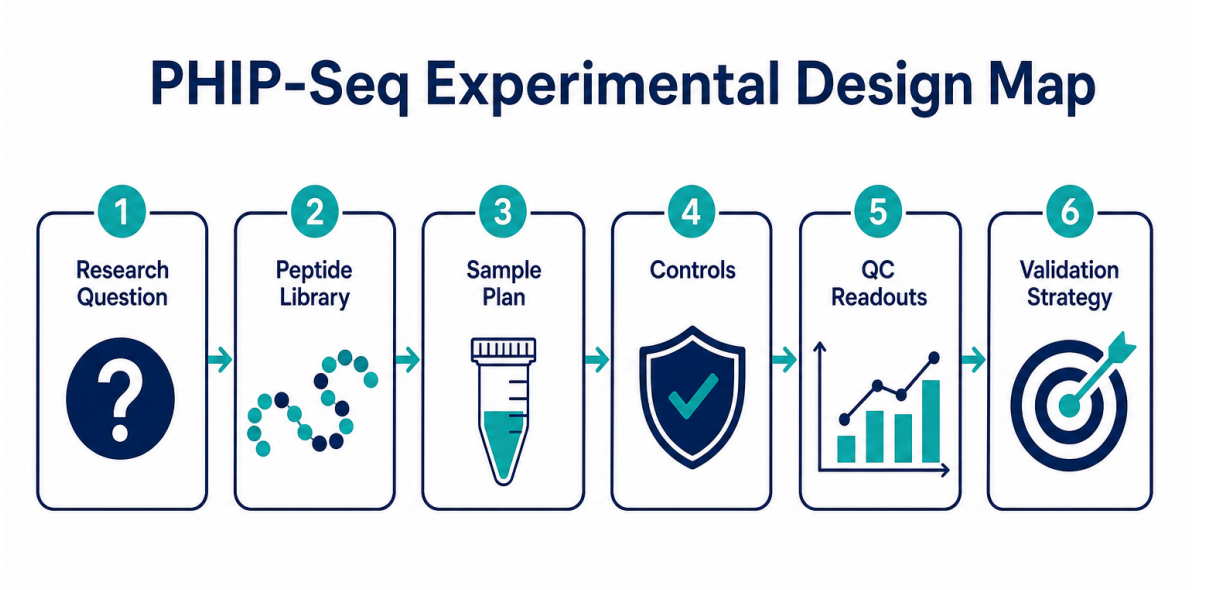 guide-to-phip-seq-experimental-design-workflow-and-execution-standards-01