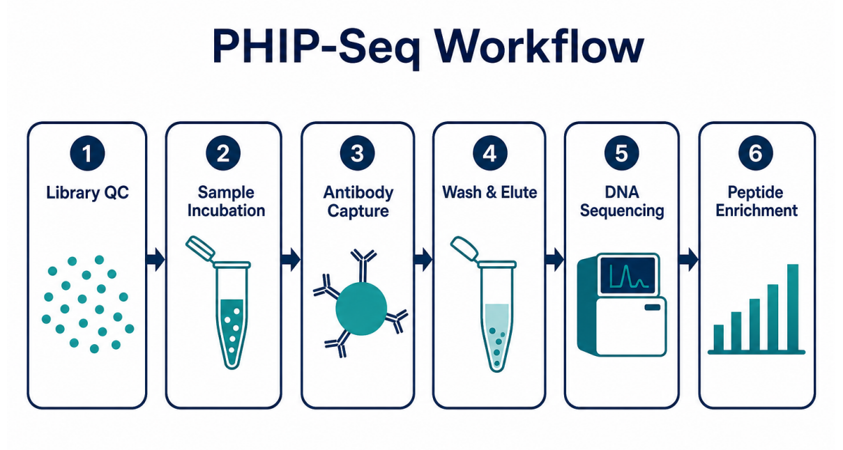 guide-to-phip-seq-experimental-design-workflow-and-execution-standards-02