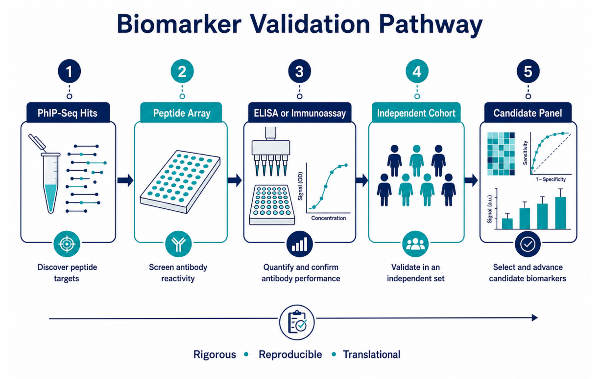 identifying-disease-biomarkers-with-phage-immunoprecipitation-sequencing-04