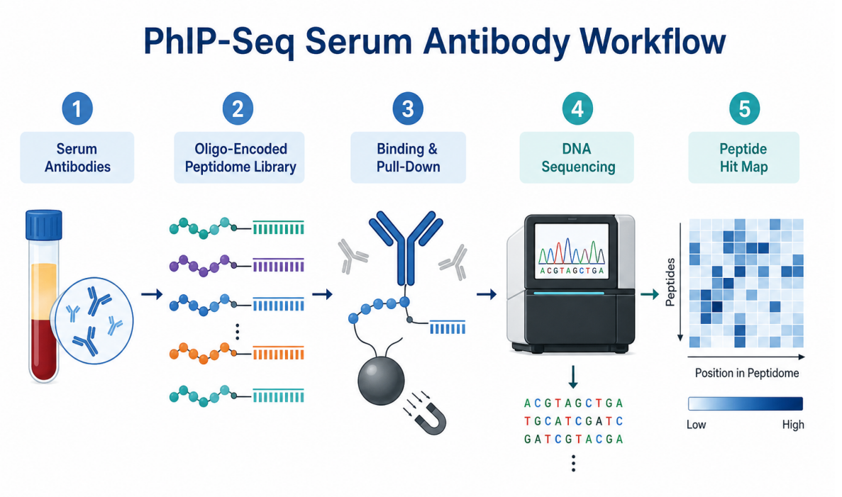 phip-seq-characterization-of-serum-antibodies-using-oligonucleotide-encoded-peptidomes-02