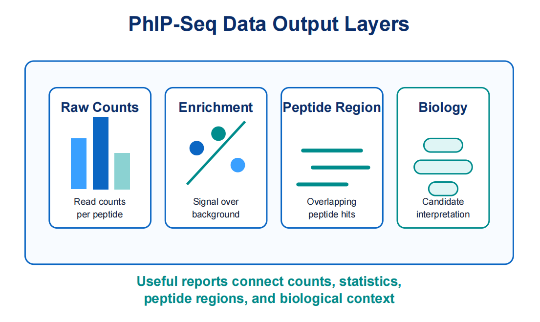 how-phip-seq-works-for-antibody-repertoire-profiling-03