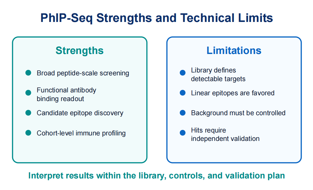 how-phip-seq-works-for-antibody-repertoire-profiling-04
