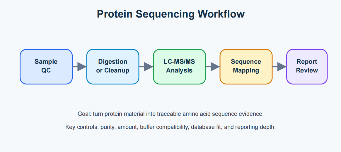 protein-sequencing-how-it-works-and-when-researchers-should-use-it-01