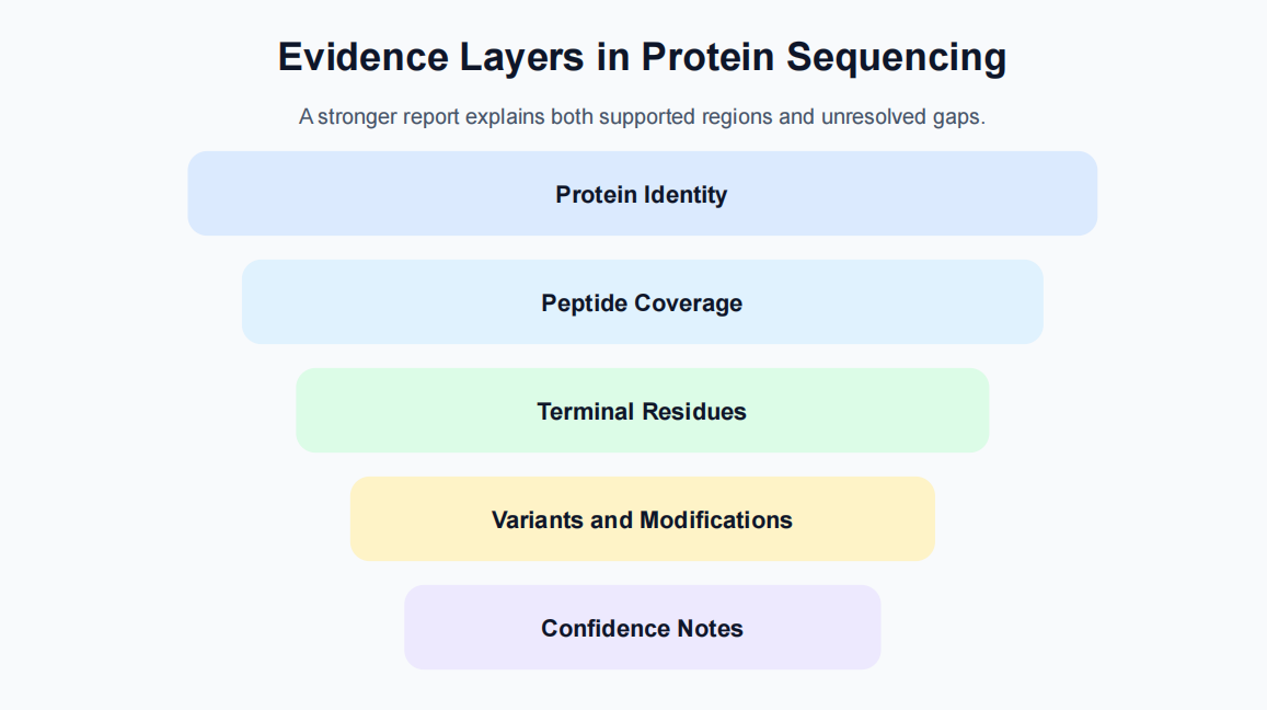 protein-sequencing-how-it-works-and-when-researchers-should-use-it-02