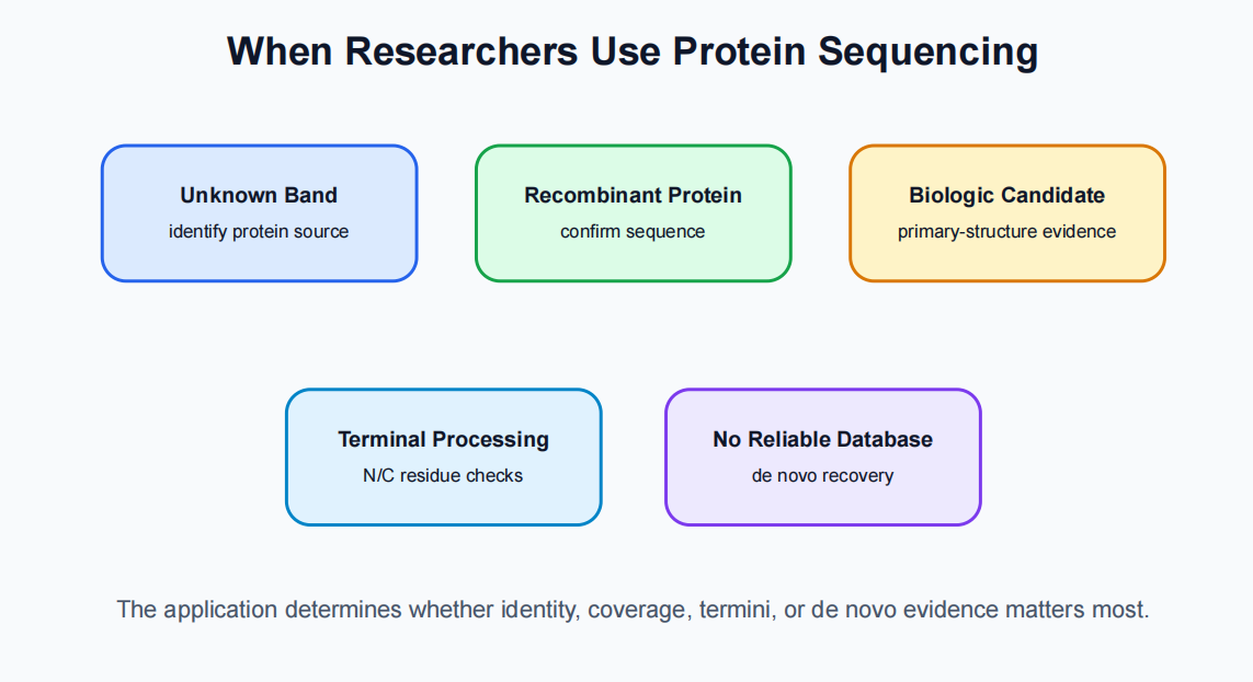 protein-sequencing-how-it-works-and-when-researchers-should-use-it-03