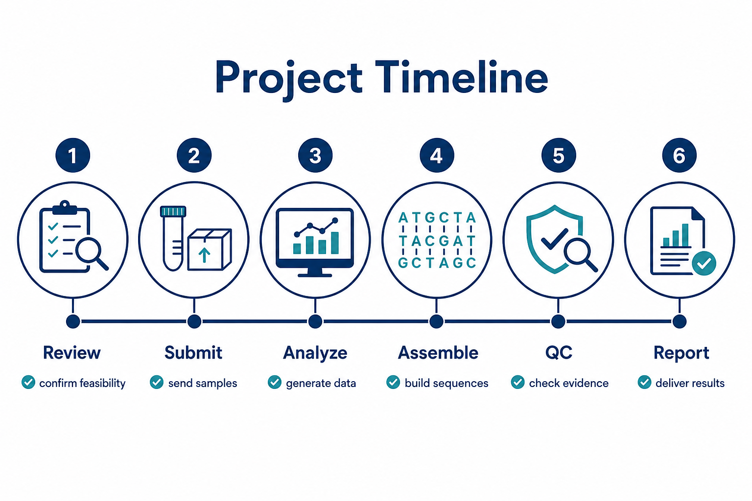 2071507444809420800-mid-project-timeline-clean.png