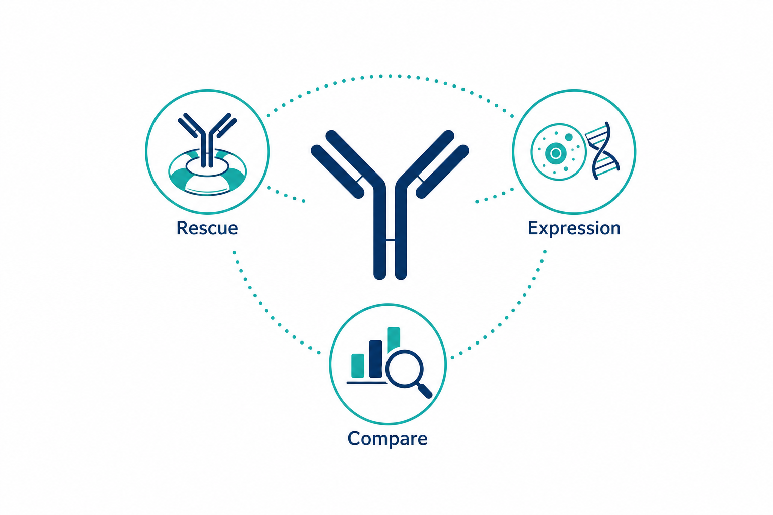 2071514835173068800-simple-antibody-use-cases.png