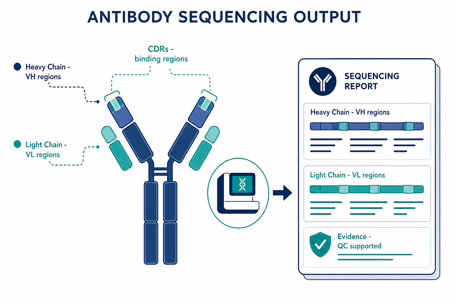 2071515033513316352-mid-antibody-output-clean.png