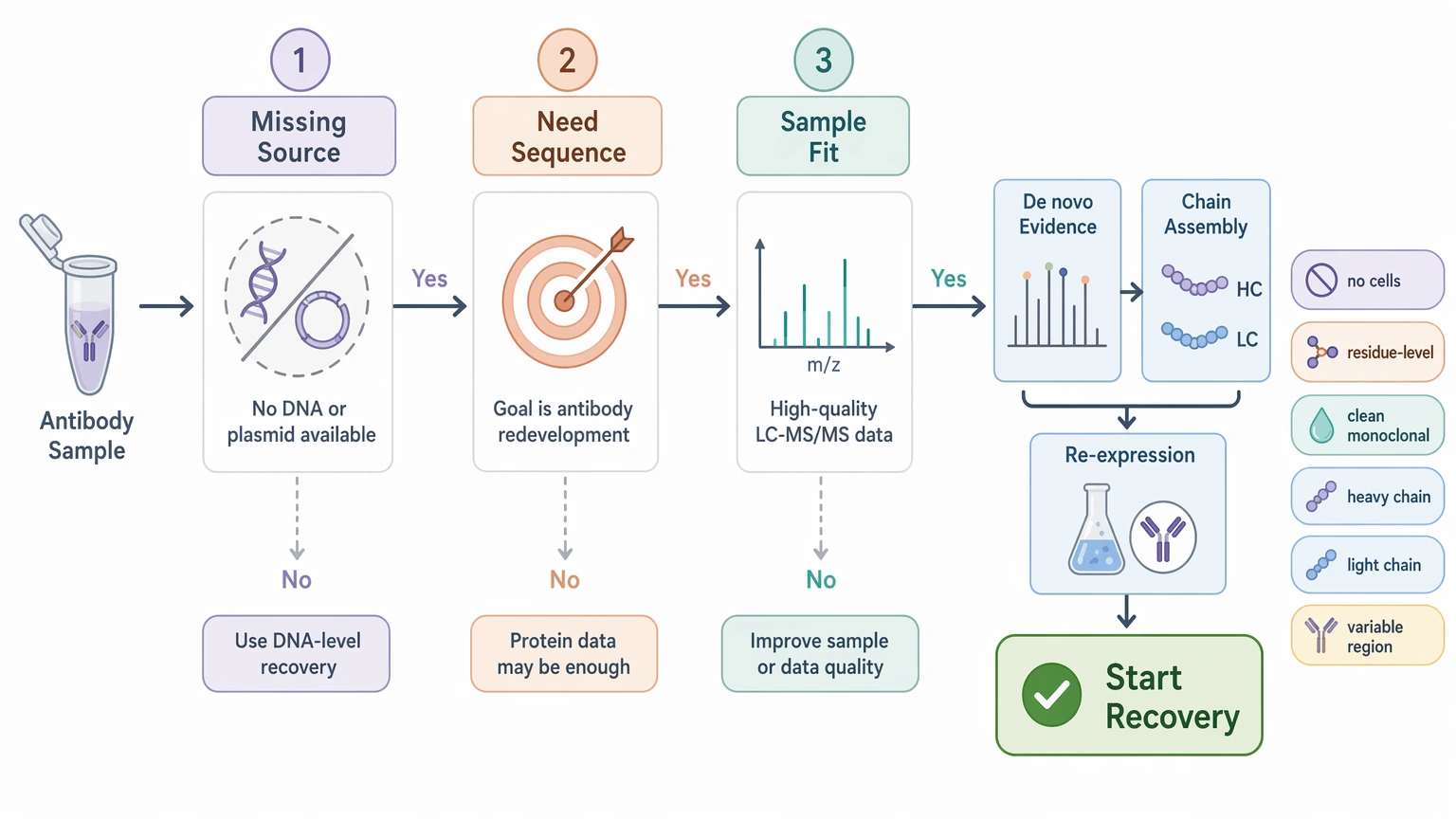 Antibody amino acid sequencing decision path for choosing protein-level recovery of an unknown antibody