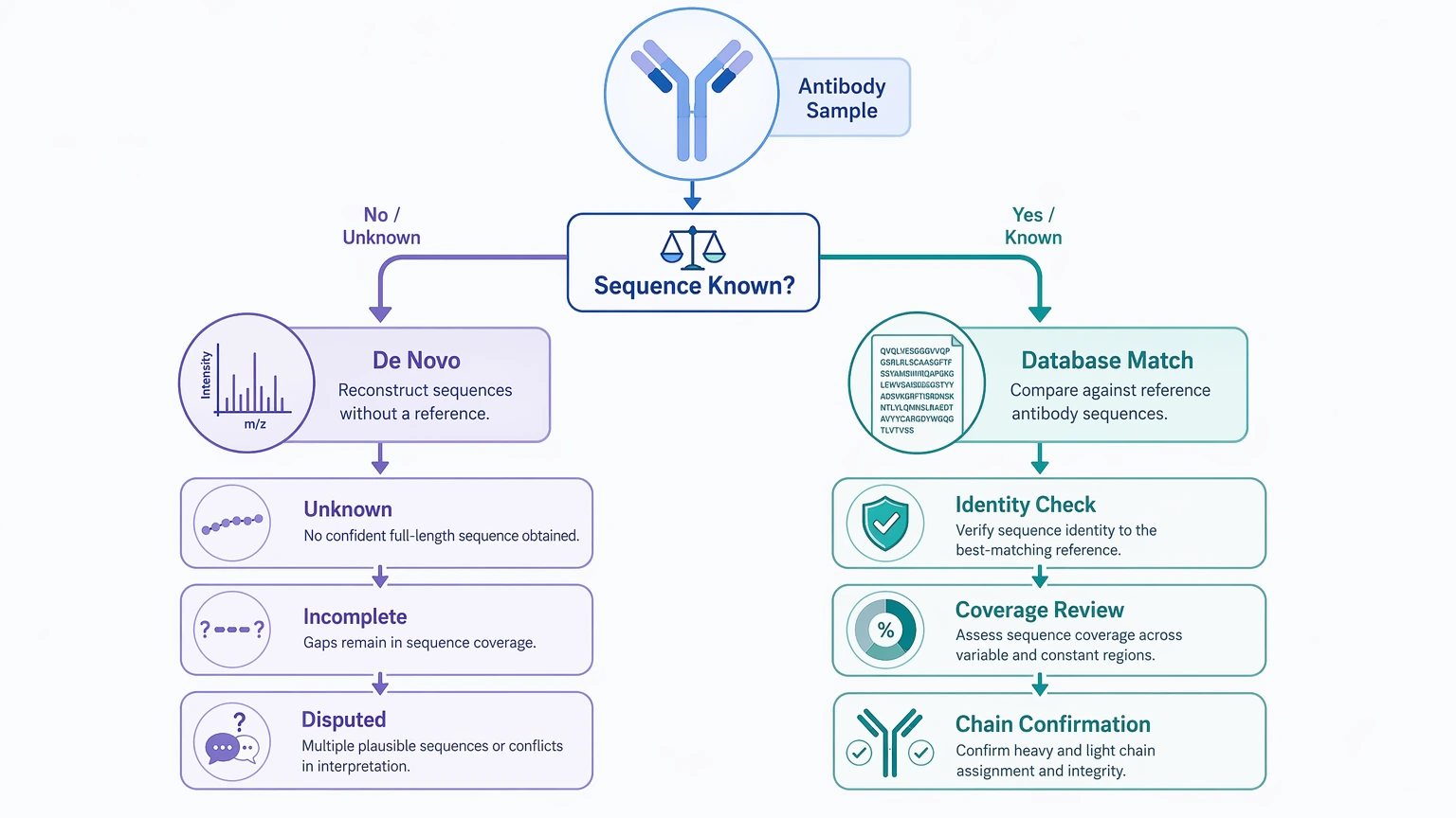 Antibody protein sequencing service decision path comparing de novo sequencing with database-supported identification