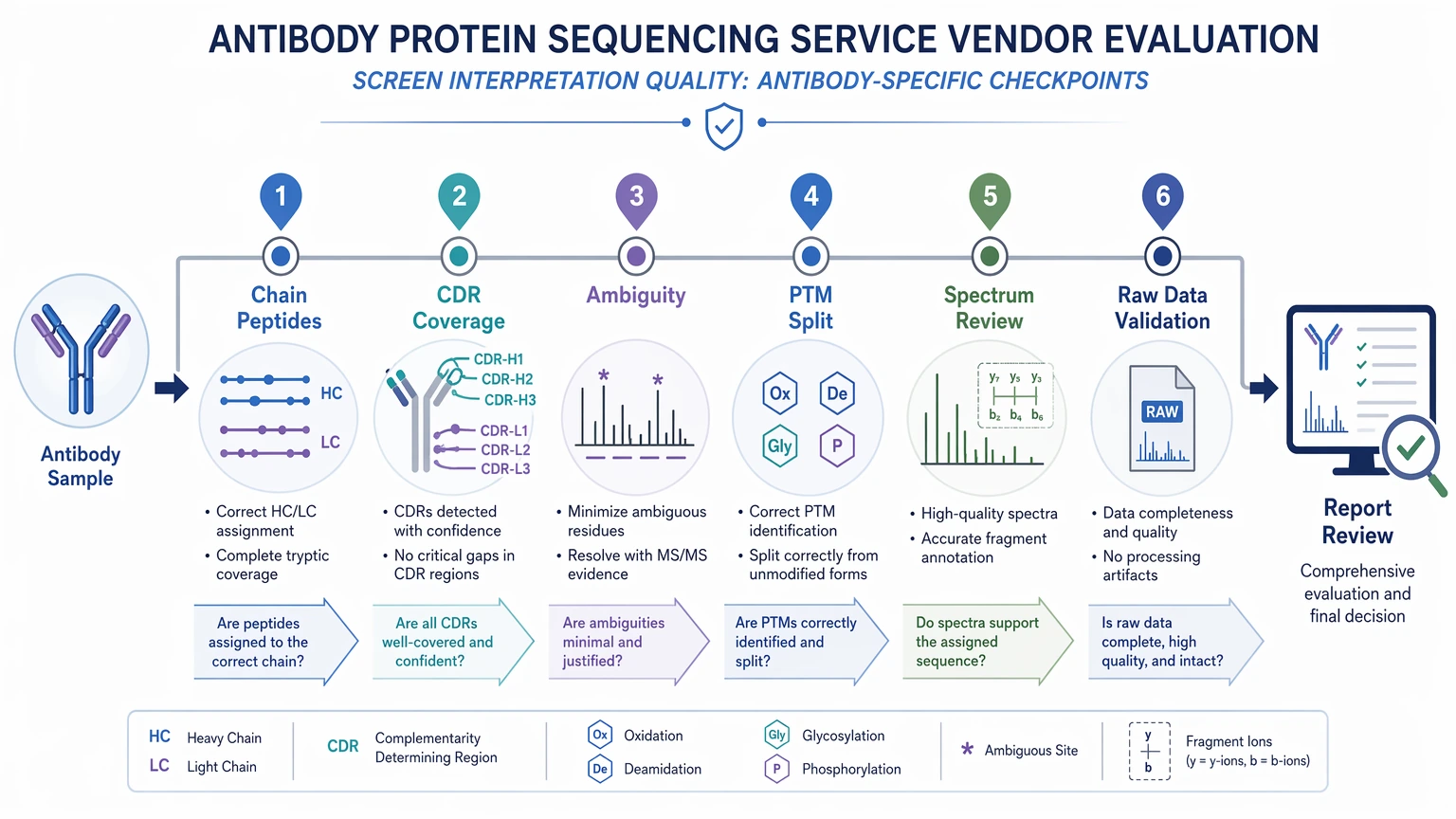Antibody protein sequencing service vendor screening checkpoints for chain assignment, CDR coverage, ambiguity, PTM review, and raw data
