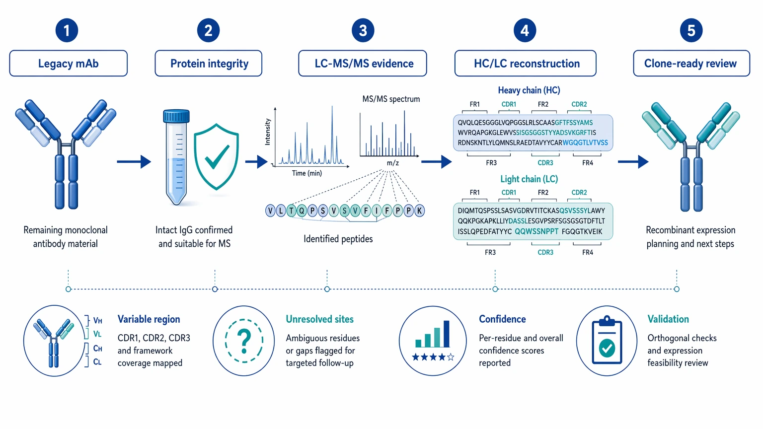 Hybridoma antibody sequencing decision path from legacy antibody material to heavy and light chain sequence recovery