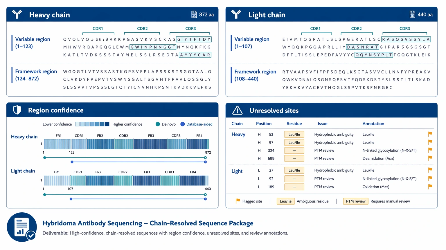 Hybridoma antibody sequencing deliverable view showing heavy chain, light chain, region confidence, and unresolved positions