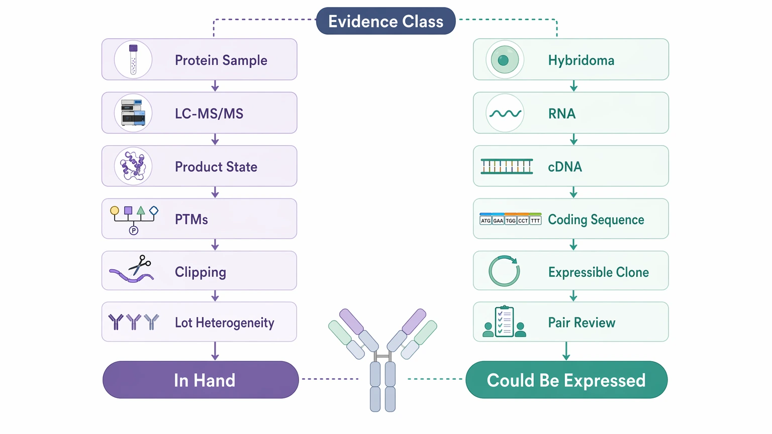 Antibody sequencing mass spectrometry selection guide comparing protein evidence and gene evidence routes