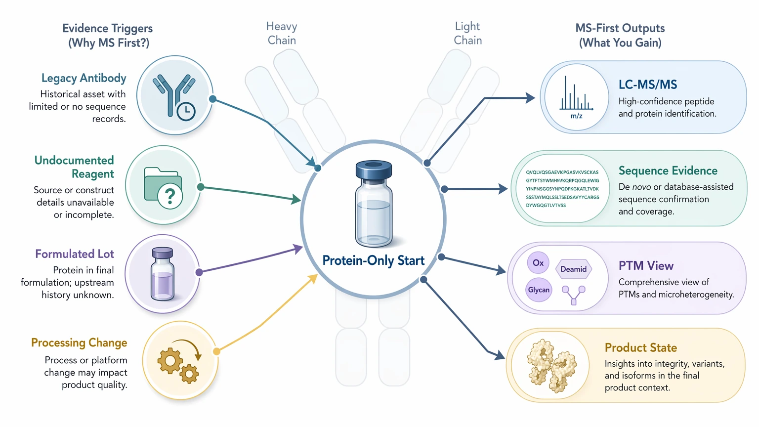 Antibody sequencing mass spectrometry evidence view for protein-only antibody recovery projects