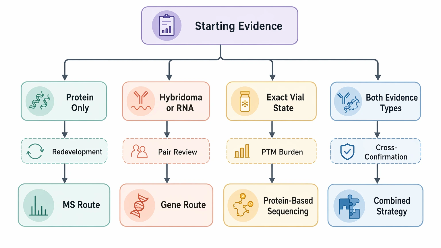 Antibody sequencing mass spectrometry decision tree for route selection by starting evidence