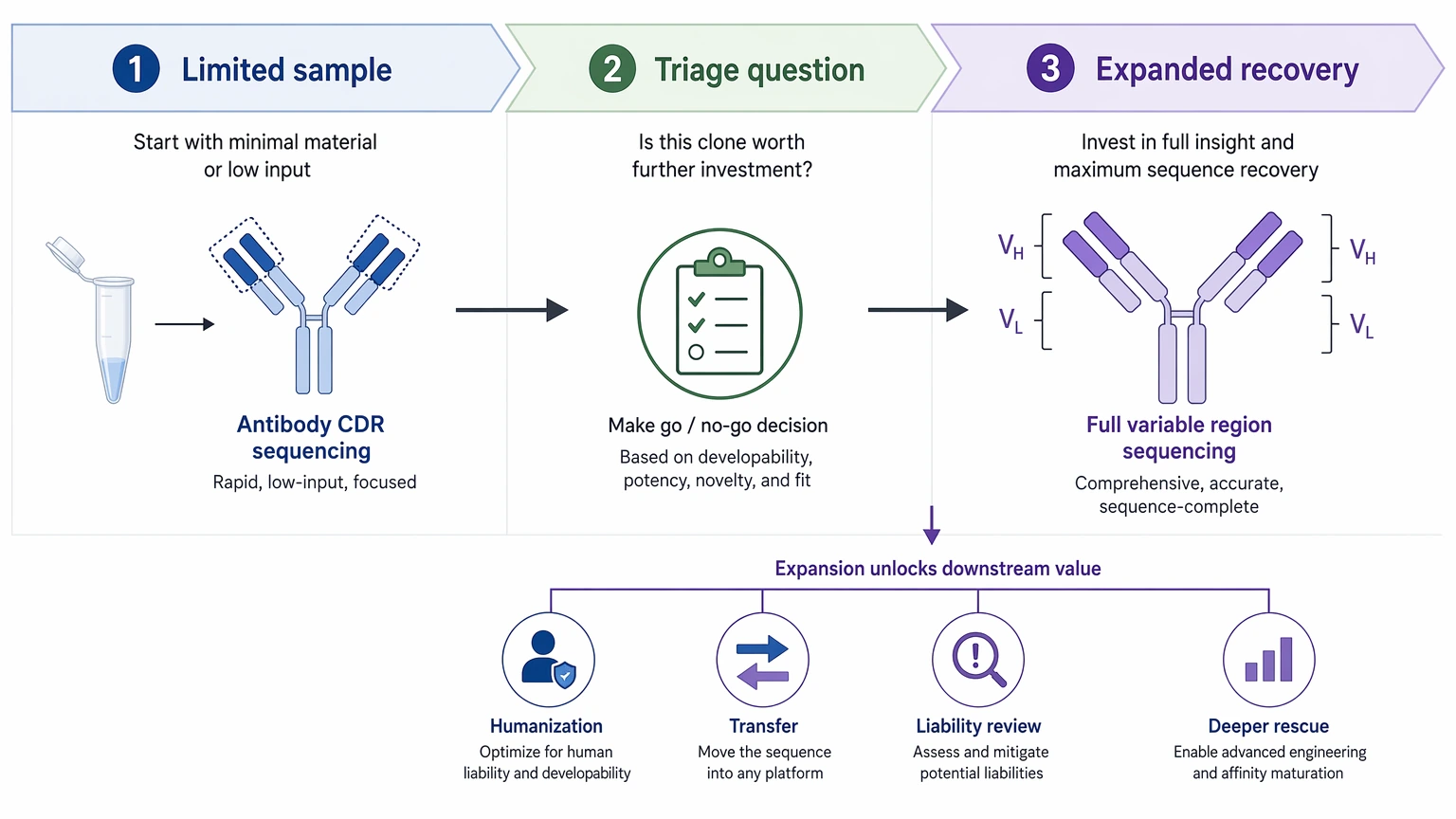 Antibody CDR sequencing selection guide showing staged escalation to full variable region sequencing