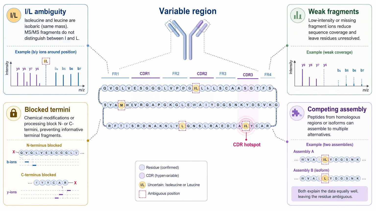 Monoclonal antibody sequencing ambiguity hotspot map for variable-region residue assignment