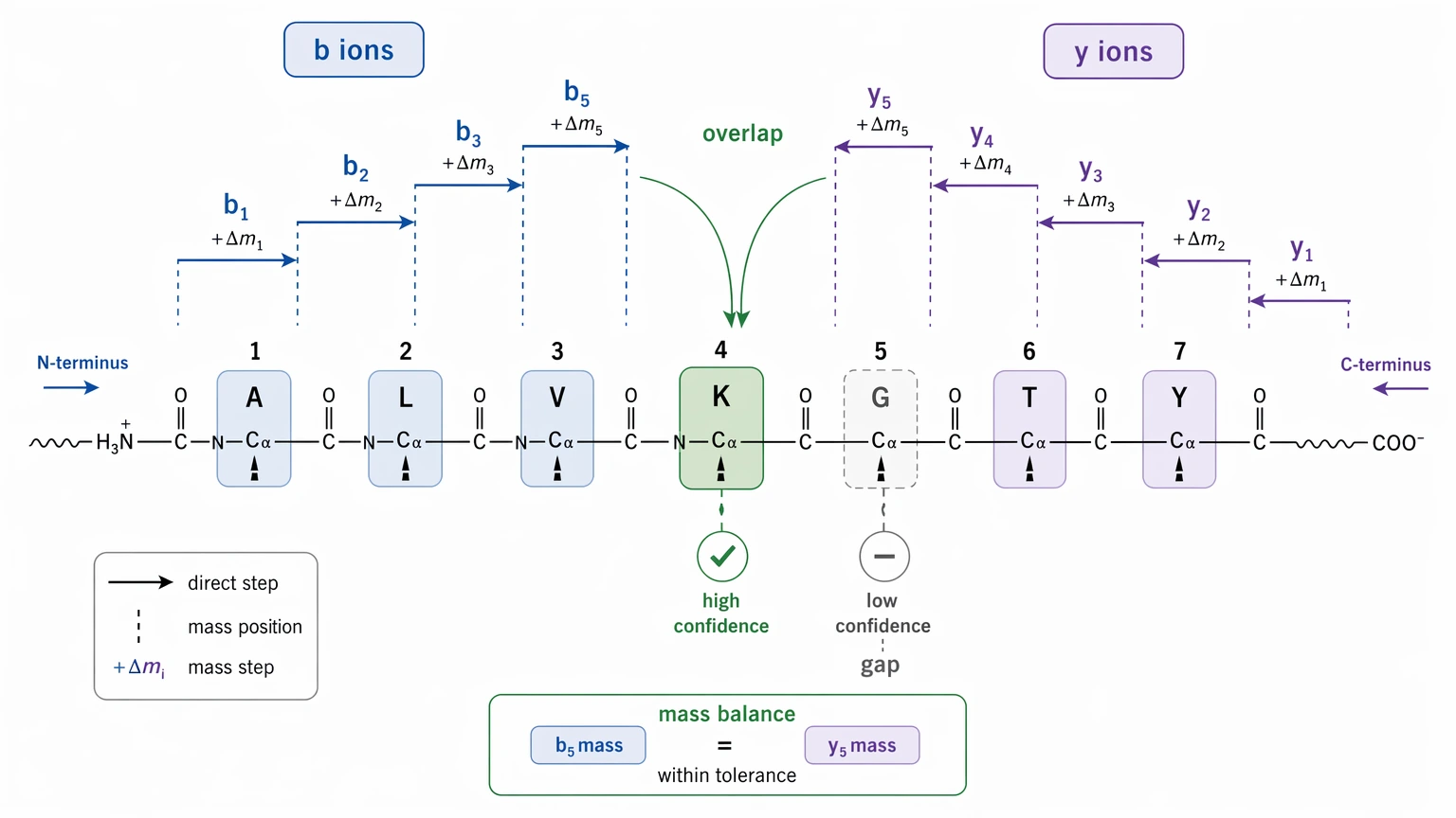 de novo peptide sequencing algorithm residue-level confidence view with overlapping b ions and y ions